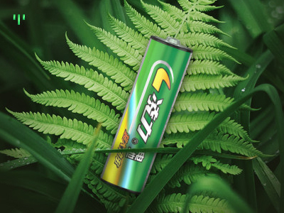 什麽是（shì）環保型碳性電池